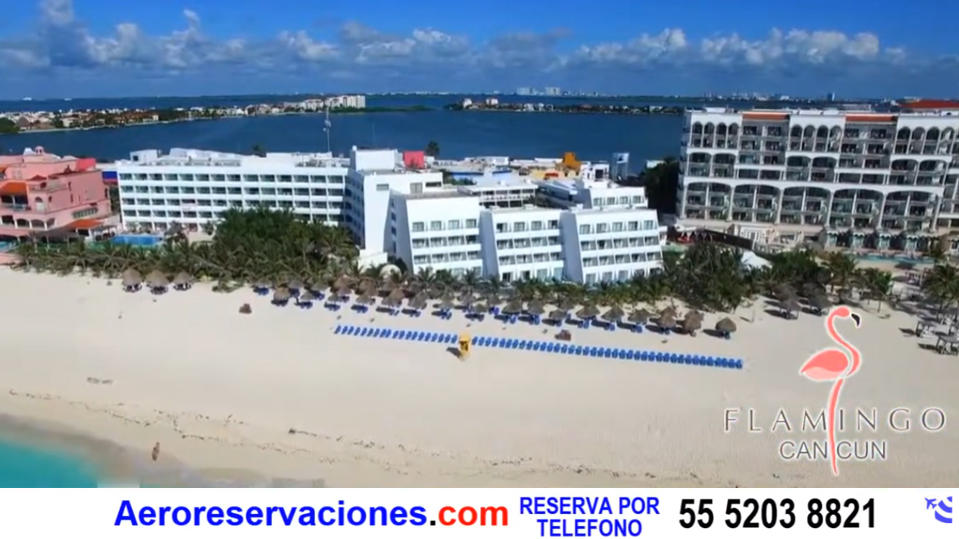 flamingo cancun