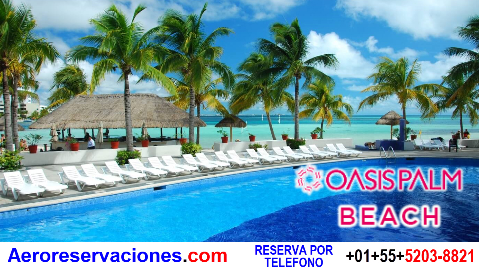 oasis palm beach aero